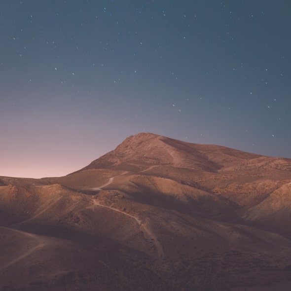 صورة رئيسية